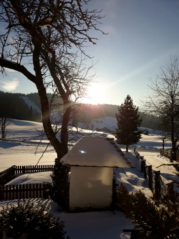 Aussicht Terrasse Winter4 (353x470)